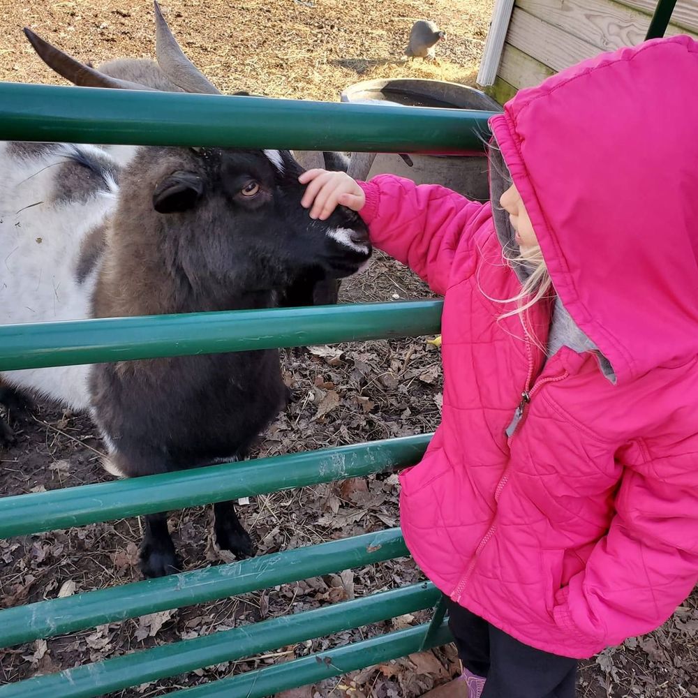 Meet your Posher, Misty